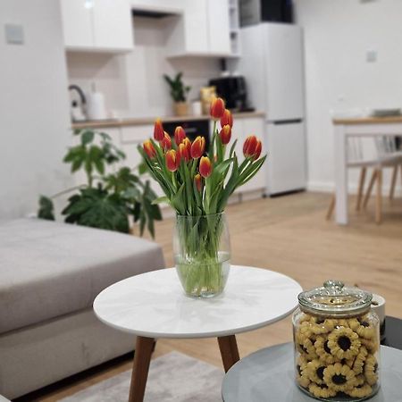 Apartament Na Skalkach Jelenia Góra Zewnętrze zdjęcie
