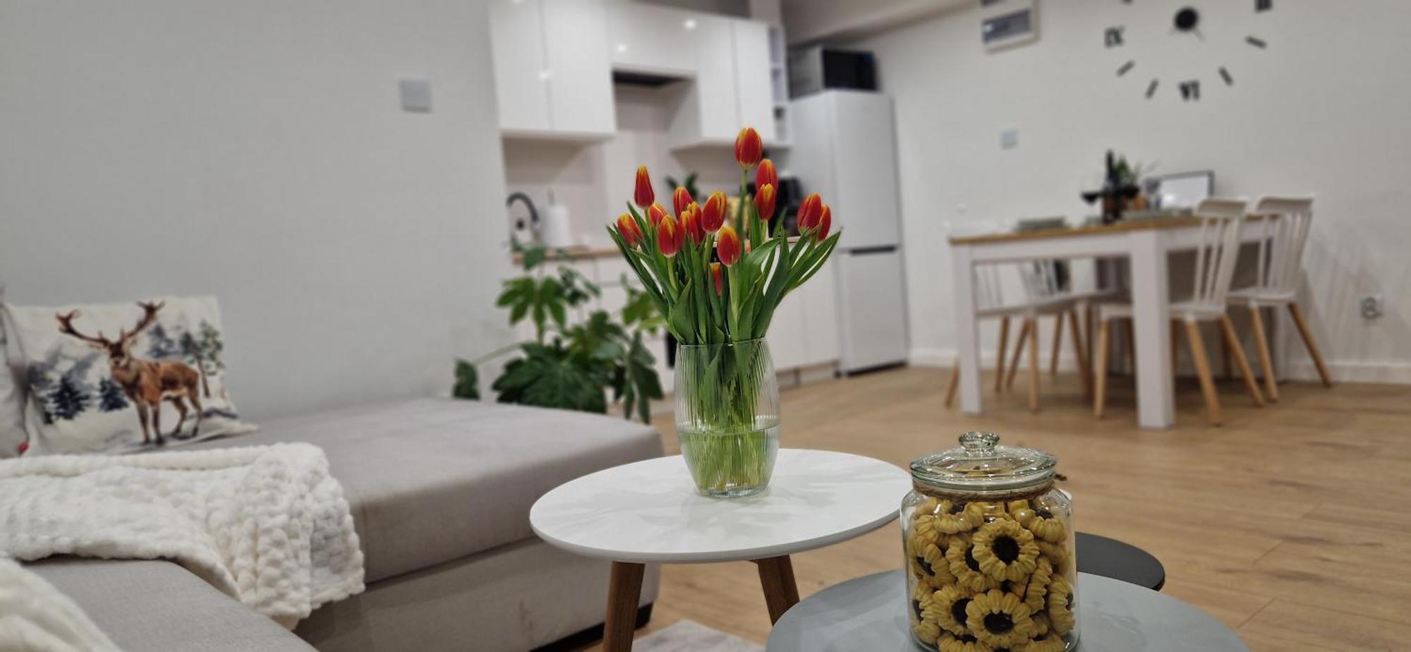 Apartament Na Skalkach Jelenia Góra Zewnętrze zdjęcie